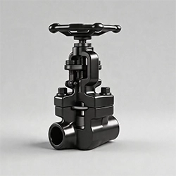 Forged Steel Globe Valves